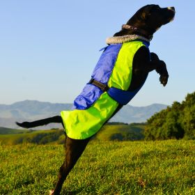 Alpine All-Weather Dog Coat (Color: Blue and Green, size: 4X-Large)